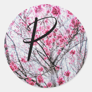 Branches and Blooms of a Cherry Tree Classic Round Sticker