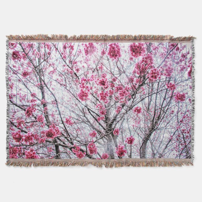 Branches and Blooms of a Cherry Tree Throw Blanket (Front)