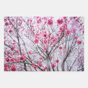 Branches and Blooms of a Cherry Tree Wrapping Paper Sheet