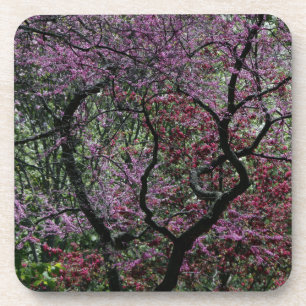 Branches and Blossoms Coaster