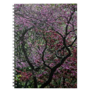 Branches and Blossoms Notebook