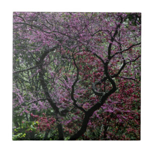 Branches and Blossoms Tile