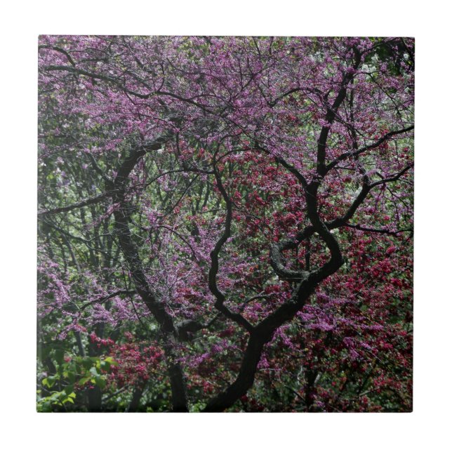 Branches and Blossoms Tile (Front)