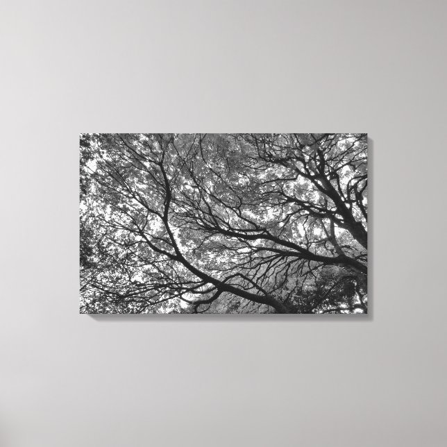 Branches and Leaves Canvas Print (Front)