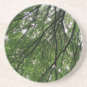 Branches and Leaves Coasters
