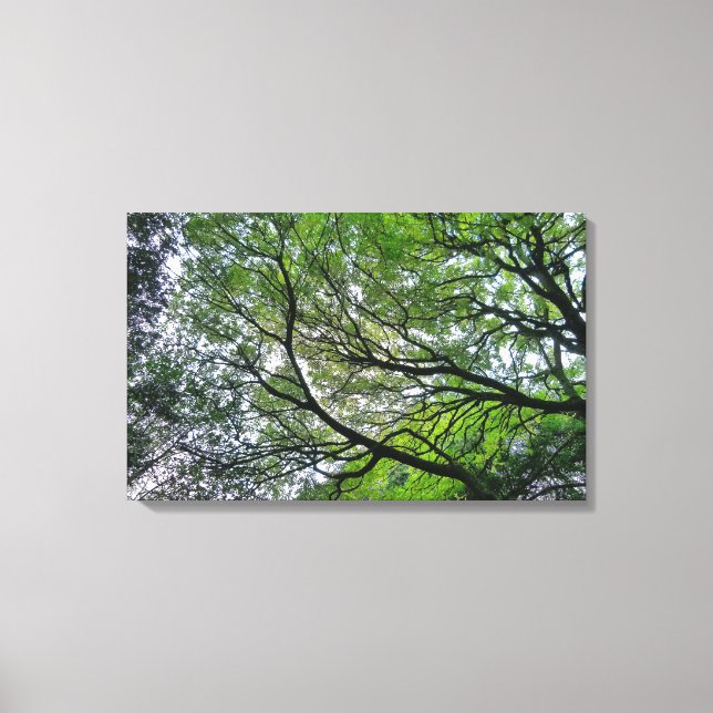 Branches and Leaves III Canvas Print (Front)