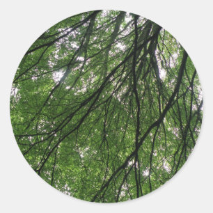 Branches and Leaves Stickers