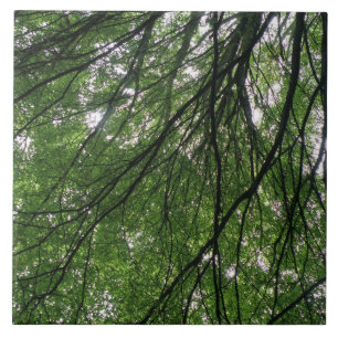 Branches and Leaves Tile