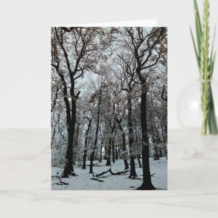 Branches and trees card