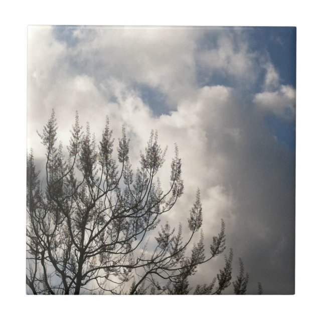 Branches in the Clouds Tile (Front)