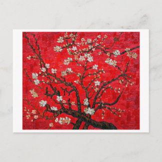 Branches of Almond Tree in Blossom, Van Gogh Postcard