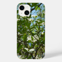 Branches of Dogwood Blossoms Spring Trees