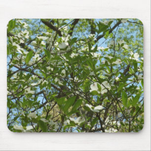 Branches of Dogwood Blossoms Spring Trees Mouse Mat