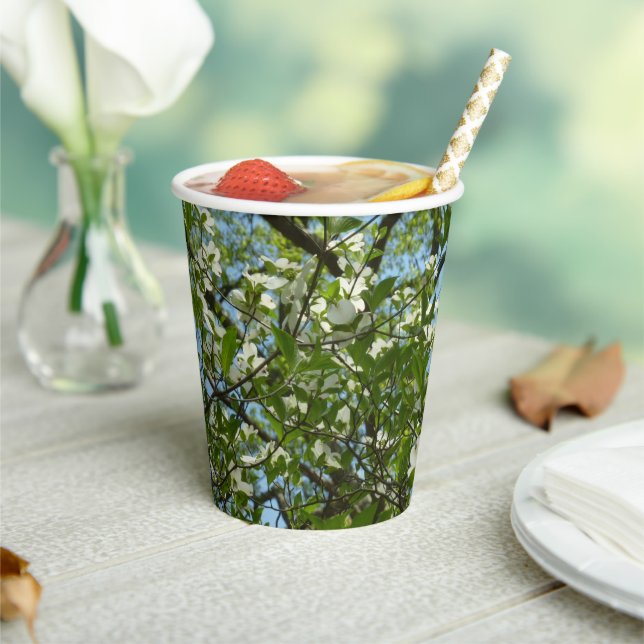 Branches of Dogwood Blossoms Spring Trees Paper Cups (Insitu)