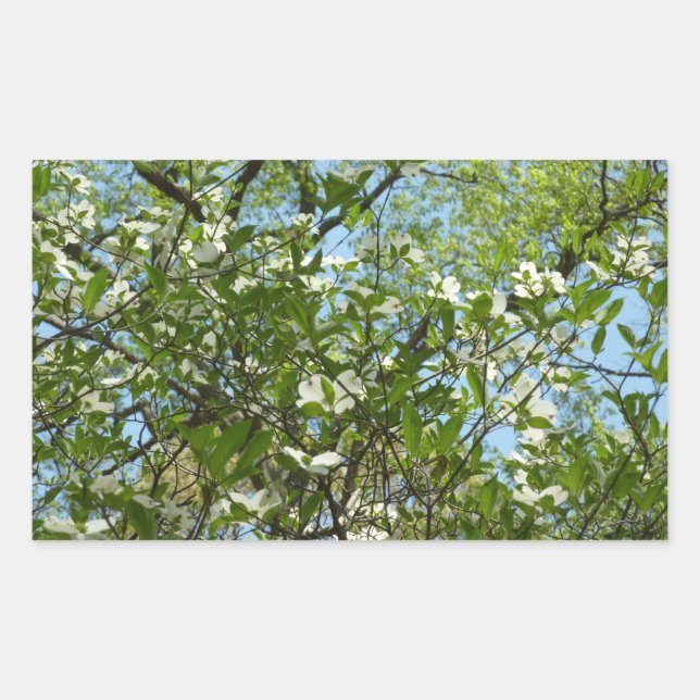 Branches of Dogwood Blossoms Spring Trees Rectangular Sticker (Front)