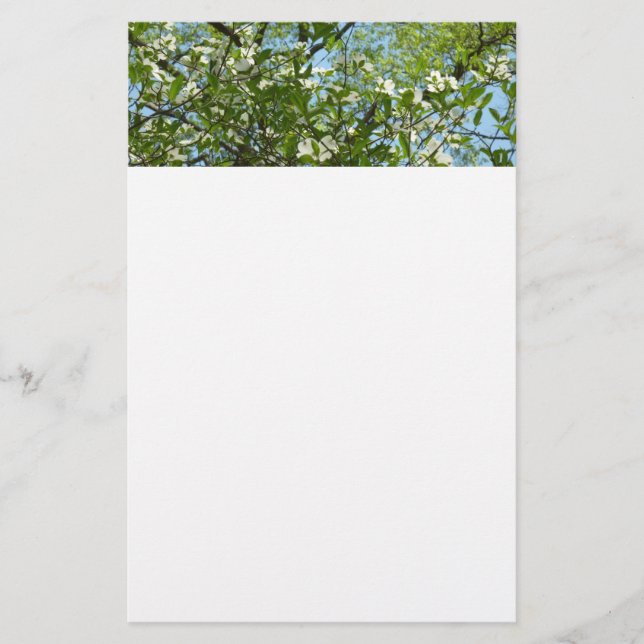 Branches of Dogwood Blossoms Spring Trees Stationery (Front)