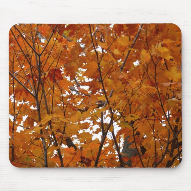 Branches of Maple Leaves I Orange Autumn Mouse Mat (Front)