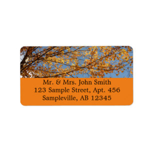 Branches of Maple Leaves II Orange Autumn Label