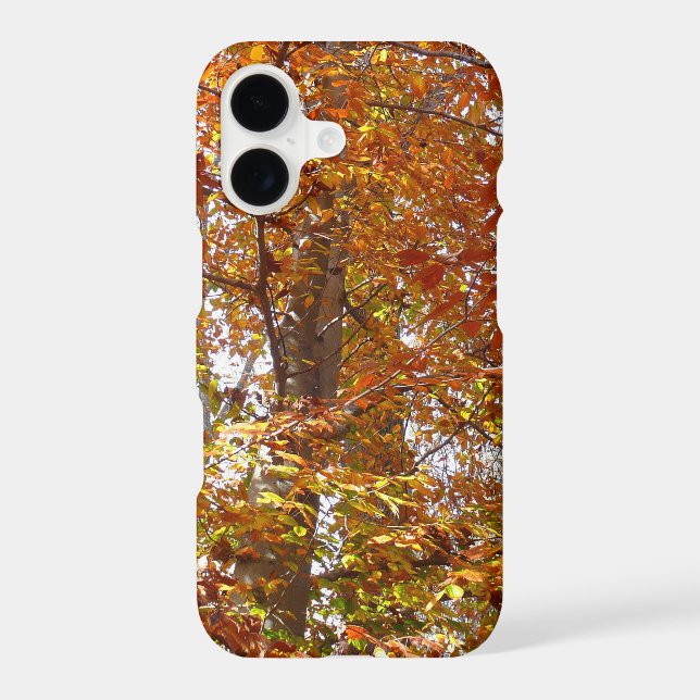 Branches of Orange Leaves Autumn Nature (Back)