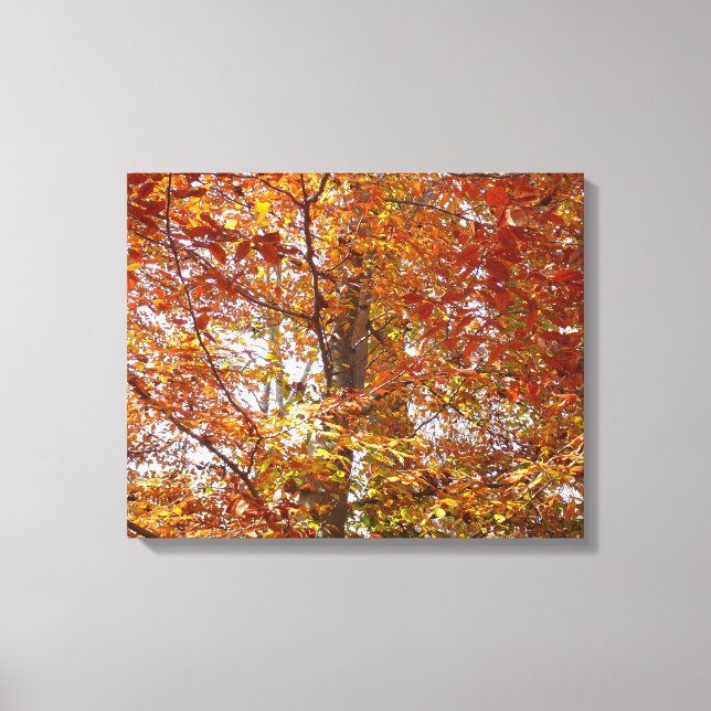 Branches of Orange Leaves Autumn Nature Canvas Print (Front)