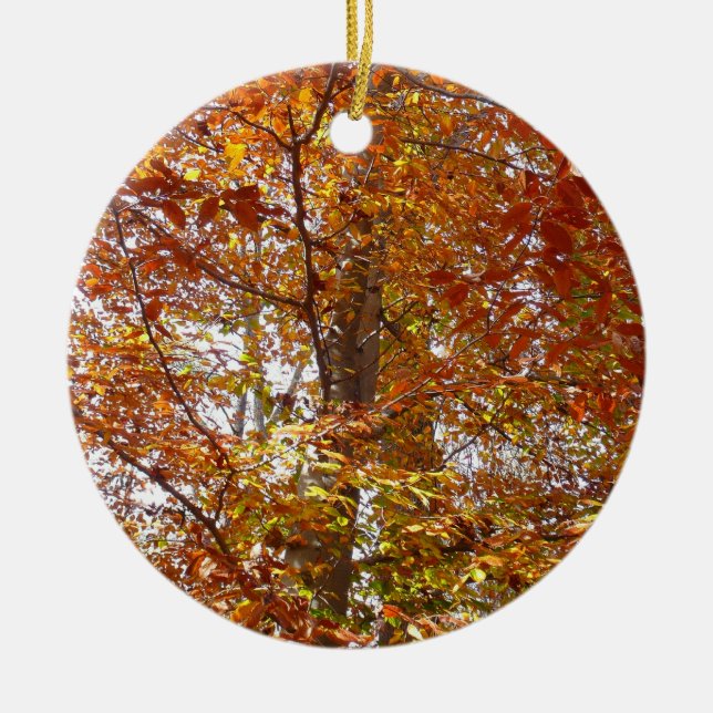 Branches of Orange Leaves Autumn Nature Ceramic Tree Decoration (Front)