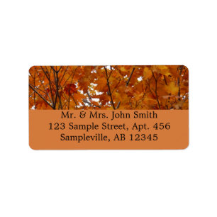 Branches of Orange Leaves Autumn Nature Label