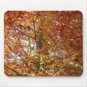 Branches of Orange Leaves Autumn Nature Mouse Mat