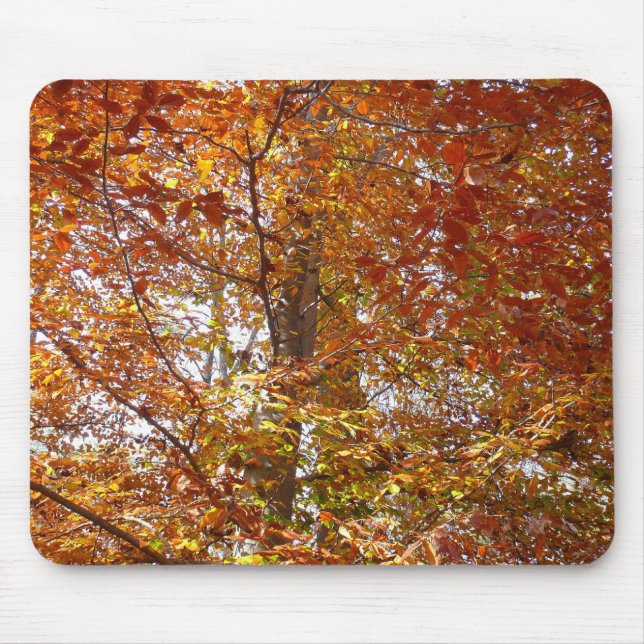 Branches of Orange Leaves Autumn Nature Mouse Mat (Front)