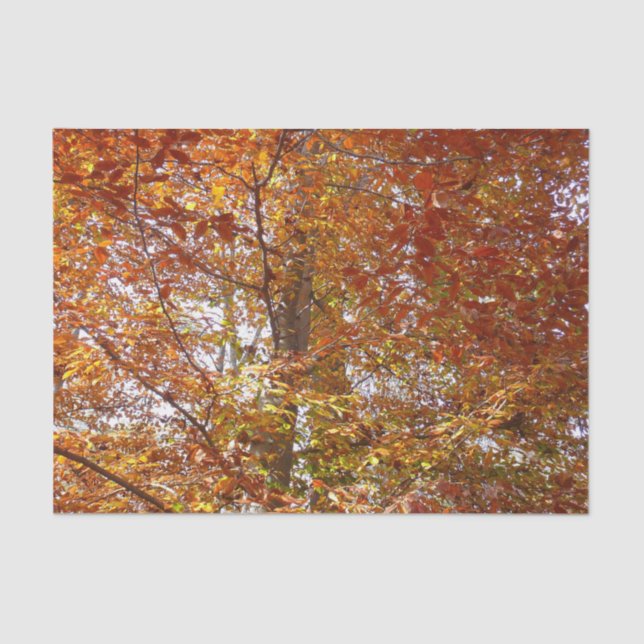 Branches of Orange Leaves Autumn Nature Tissue Paper (Front)