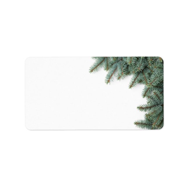 Branches Of Silver Spruce On White Background Label (Front)