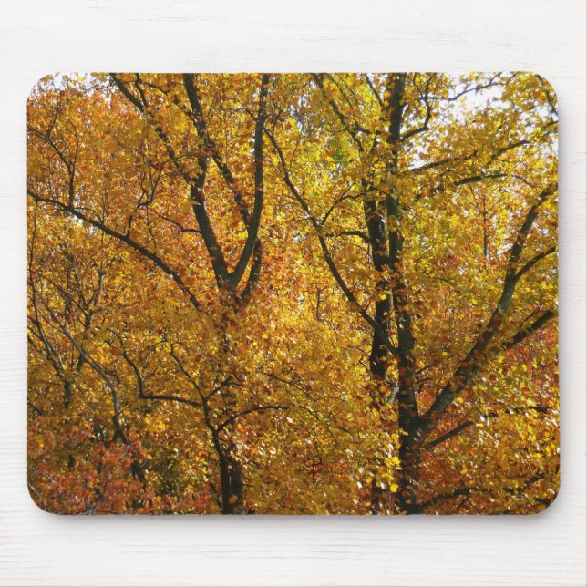 Branches of Yellow Leaves Bright Autumn Colourful Mouse Mat (Front)