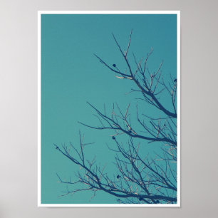 Branches Poster
