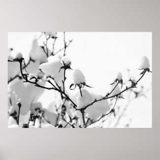 Branches Poster