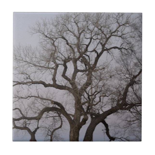 branches tile (Front)