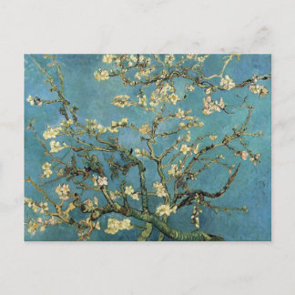 Branches with Almond Blossom by Vincent van Gogh Postcard