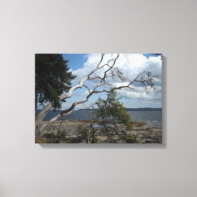 Branching Out Nature Scene Canvas Print (Front)