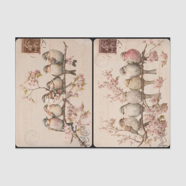 Branchy Birds Tissue Paper (Front)