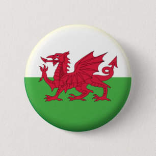 BRAND NEW!! - WALES PIN BACK BADGE