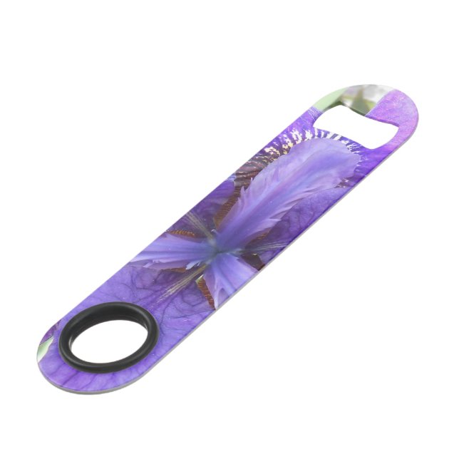 Brandeis (Front Angled)