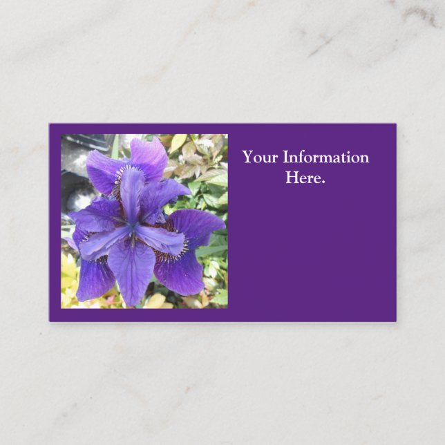 Brandeis Business Card (Front)