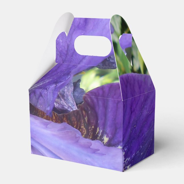 Brandeis Favour Box (Front Side)