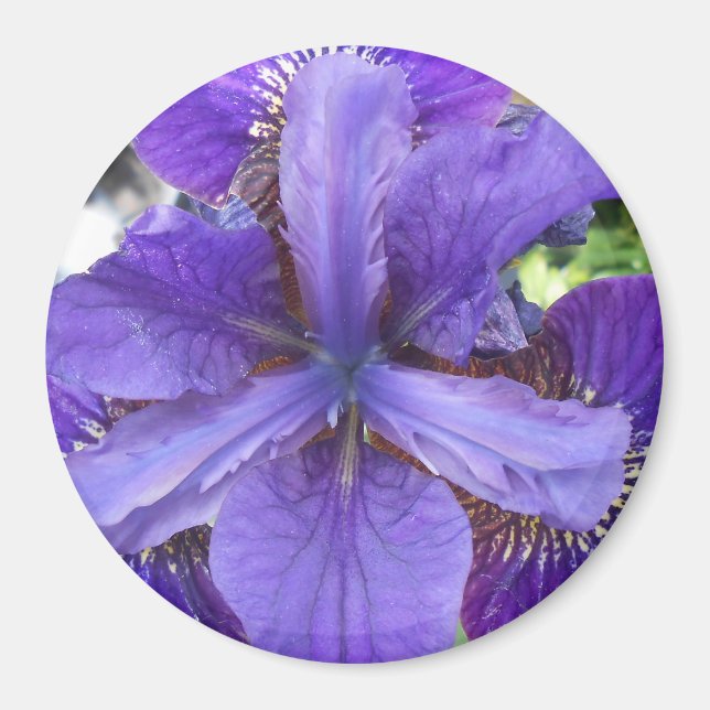 Brandeis Magnet (Front)