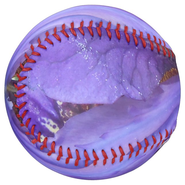 Brandeis Softball (Back Right)