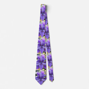 Brandeis Tie