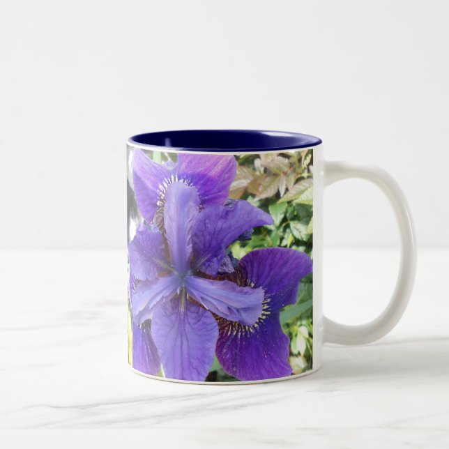 Brandeis Two-Tone Coffee Mug (Right)