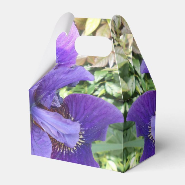 Brandels Favour Box (Front Side)