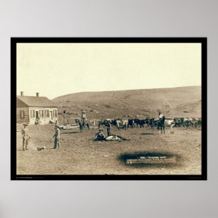 Branding Cattle SD 1891 Poster