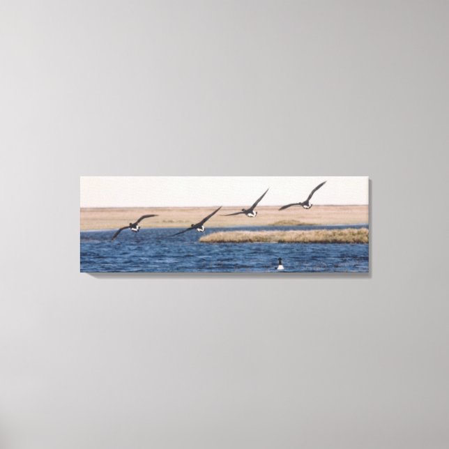 Brandt Geese Flying and Artic Loon Photo Designed Canvas Print (Front)