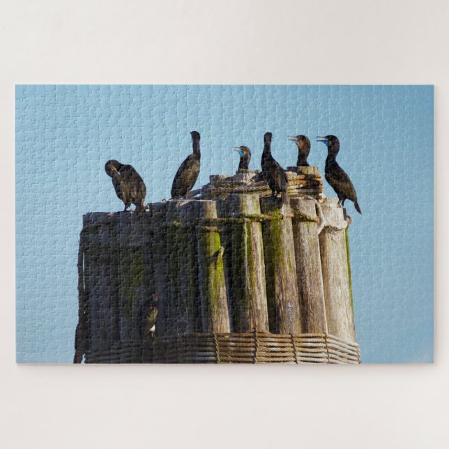 Brandt's Cormorant Jigsaw Puzzle (Horizontal)