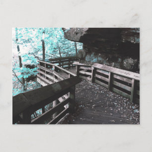 brandywine boardwalk postcard